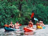 Rainbow Kayaks Waterfall Wailua River Kayak Hike